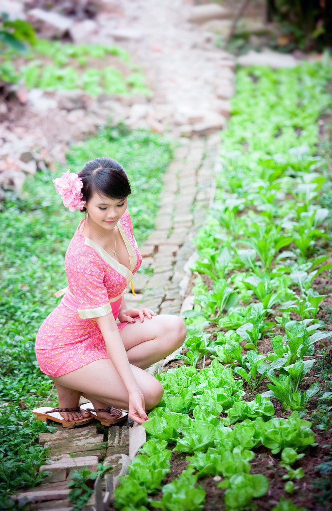 凯·帕克的电话情缘